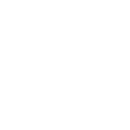 light bulb