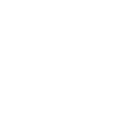 lungs
