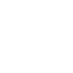 Wave