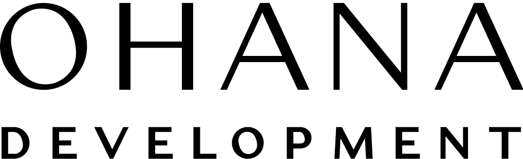Developer 4