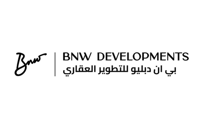 Developer 9
