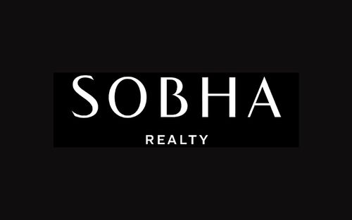 Developer Image